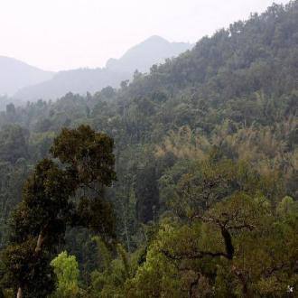 A Premium Homestay In Coorg, Coorg 1